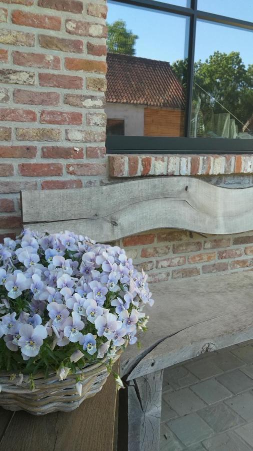Muntershof Villa Velzeke-Ruddershove Luaran gambar