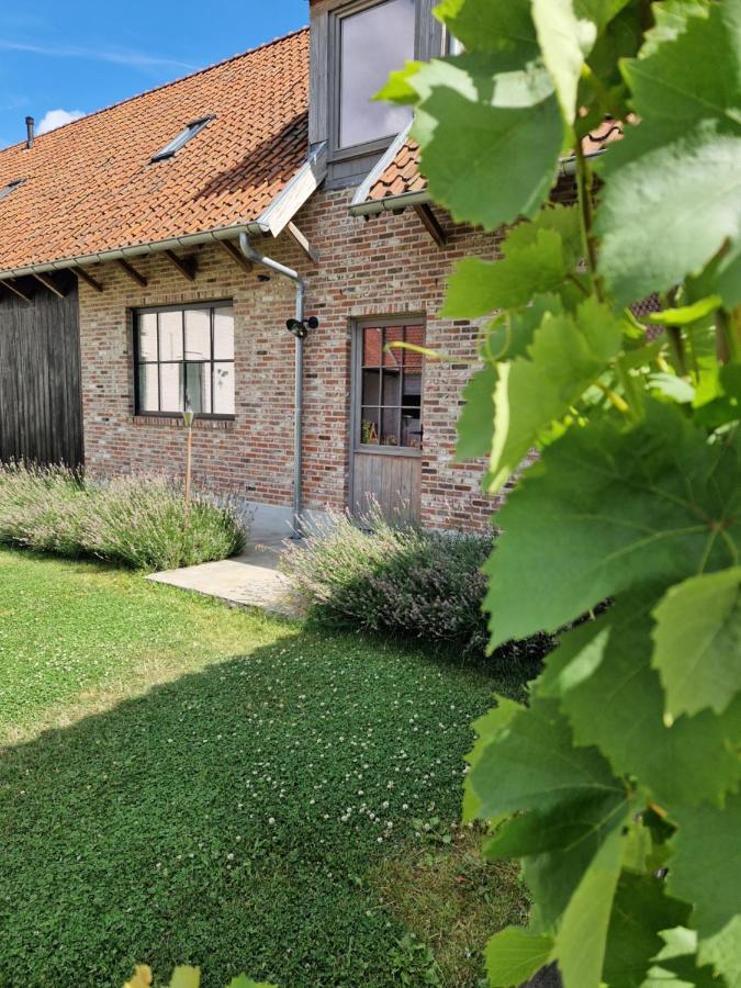 Muntershof Villa Velzeke-Ruddershove Luaran gambar